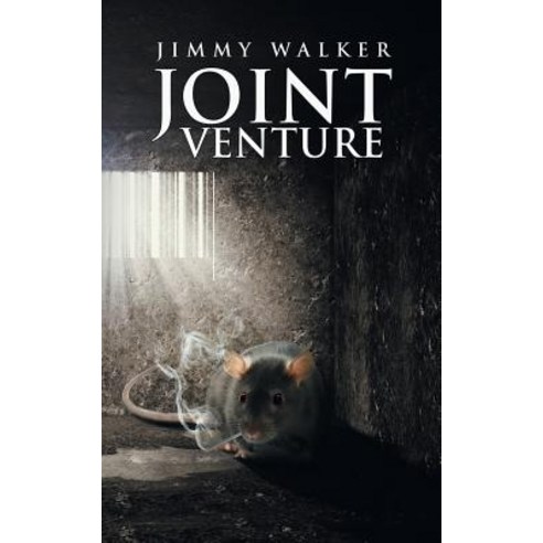 Joint Venture Paperback, Austin Macauley