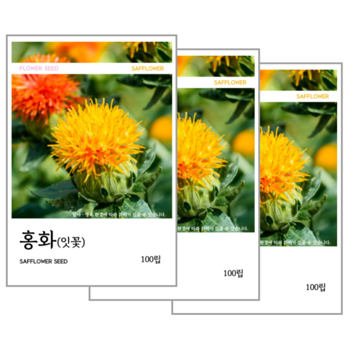 홍화씨(잇꽃) 씨앗 100립, 3개