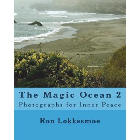 (영문도서) The Magic Ocean 2 Paperback, Createspace Independent Pub..., English, 9781502537812