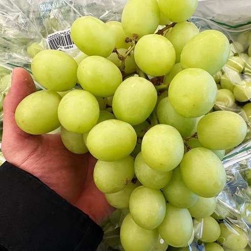 18브릭스 아삭아삭 초고당도 샤인머스켓, 애플청포도 오톰크리시피(2kg), 1개, 2kg