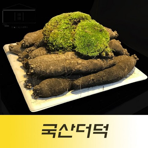 국산흙더덕1kg 국산피더덕 제주더덕 제주도더덕, 상-중(1kg), 1개