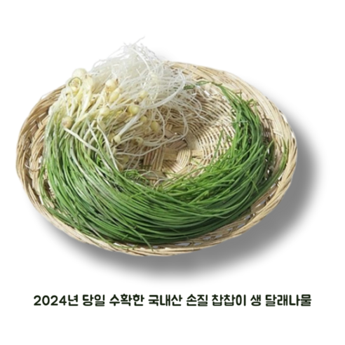 [당일 수확] 국내산 신선한 손질 찹찹이 생 달래나물 400g 1kg 향긋한 봄나물 달래, 1개