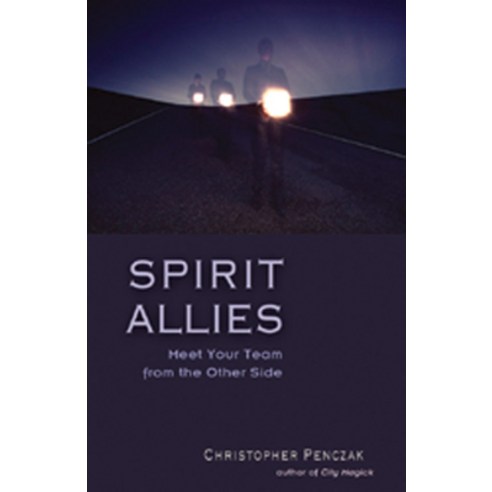 (영문도서) Spirit Allies: Meet Your Team from the Other Side Paperback, Weiser Books, English, 9781578632145