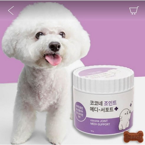 니즈펫닥터 강아지 영양제: 관절 건강을 위한 글루코사민, 상어 연골, 초록입 홍합 함유 치즈맛 31포 메디조인트강아지관절영양제 11 강이지관절건강 코코네 조인트 메디 서포트, 1개