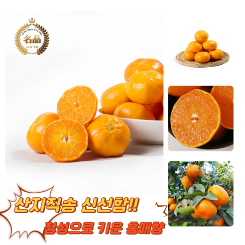 [굿피플] 홍매향 제주홍매향 홍미향 썬레드 홍미향귤 레드향 귤, 1박스, 홍매향 4kg중과(32-48과)