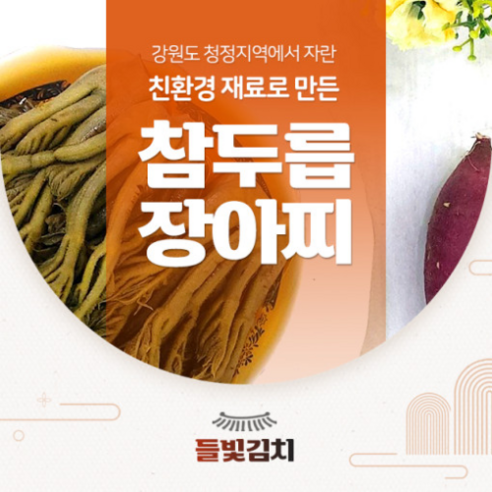 들빛김치 참두릅 장아찌 1kg, 1개 Best Top5