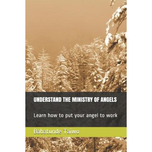 Understand the Ministry of Angels: Learn how to put your angel to work Paperback, Independently Published, English, 9781723722356