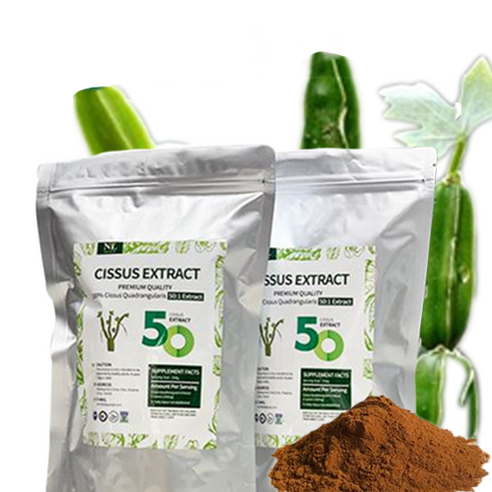 에넬 시서스가루 총500g 고농축 24개월분 CISSUS EXTRACT 100%, 500g, 1개 다이어트/이너뷰티 에넬 시서스가루 총500g 고농축 24개월분 CISSUS EXTRACT 100%, 500g, 1개 다이어트/이너뷰티