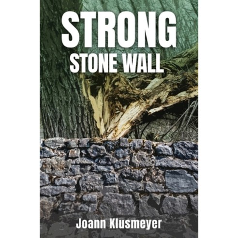 Strong Stone Walls Paperback, Pageturner Press and Media, English, 9781649087171