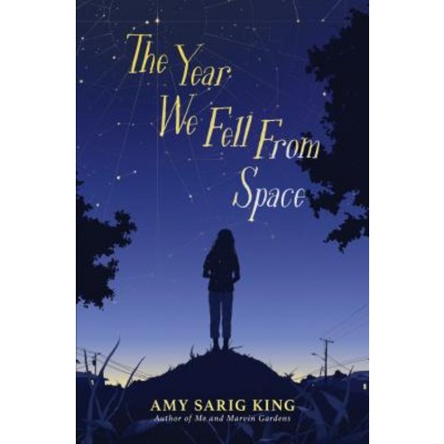 The Year We Fell from Space Hardcover, Arthur A. Levine Books, English, 9781338236361