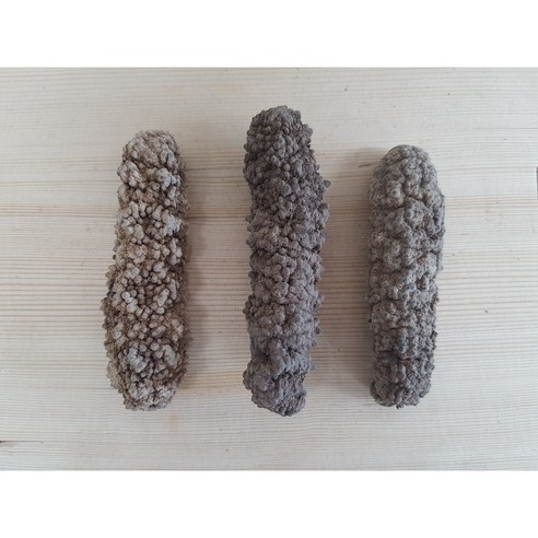 특품 필리핀 루비 건해삼 대자 (XL) 사이즈 1kg -12-20미 1마리 9 cm ~15 cm 1kg 26 만원, 1개