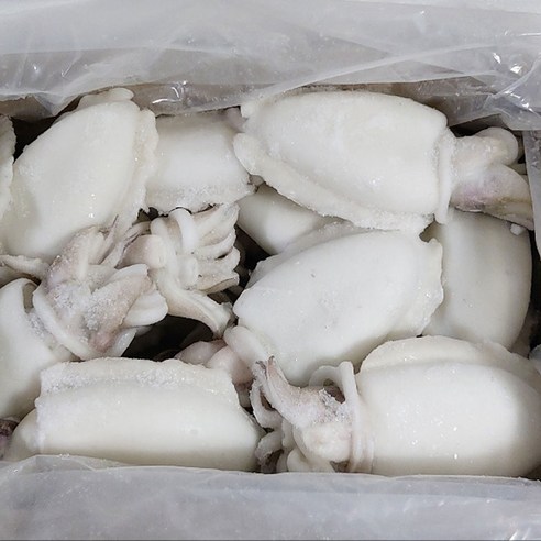 맛있고 건강한 냉동 손질갑오징어, 업소용으로 딱!