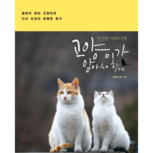 인간은 바쁘니까 고양이가 알아서 할게:열여섯 마리 고양이와 다섯 인간의 유쾌한 동거, 위즈덤하우스(예담), 이용한