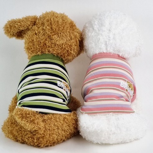 사랑스러운 반려견을 위한 여름 필수템