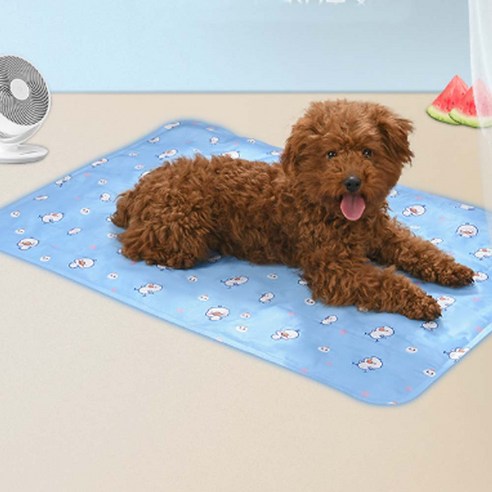 반려동물과 함께하는 여름, 슈슈펫의 시원하고 귀여운 아이스 젤 쿨매트