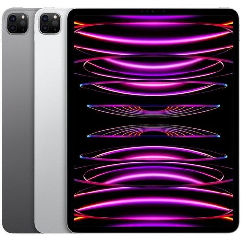 Apple 정품 2022 아이패드 프로 11 4세대 M2칩, 스페이스그레이, 1TB, Wi-Fi+Cellular