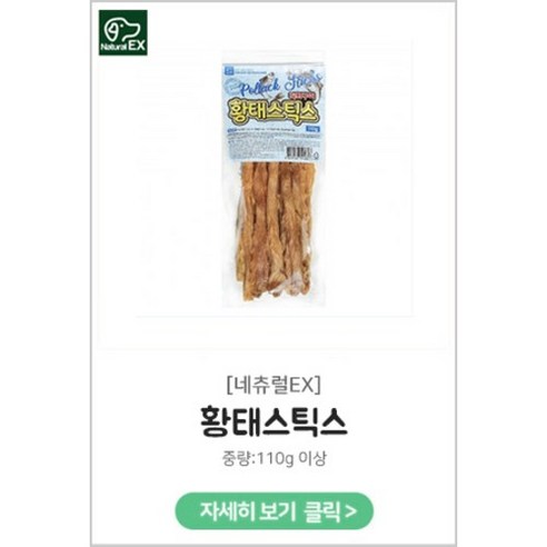 반려견의 행복을 위한 건강한 선택