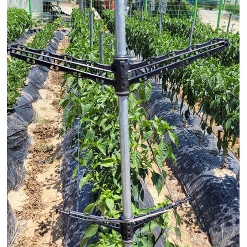 고추지주대행거로 튼튼하고 건강한 고추, 간편하게 수확하세요!