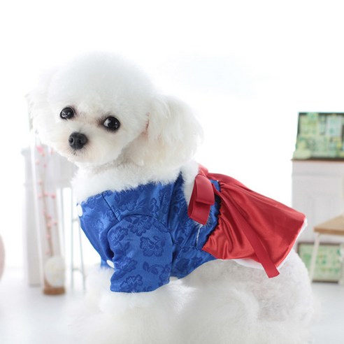 강아지 한복 고양이 설빔 원피스 코스튬 설날 옷 호랑이마켓, B, 1개