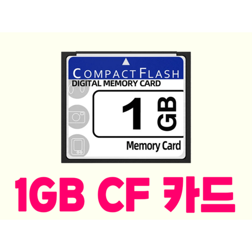CF 메모리카드, 1GB, 1개