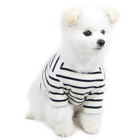 럭키페터 뉴 단가라 강아지 옷 소형견 대형견 티셔츠 베들링턴테리어옷 리트리버옷, 블랙, 1개