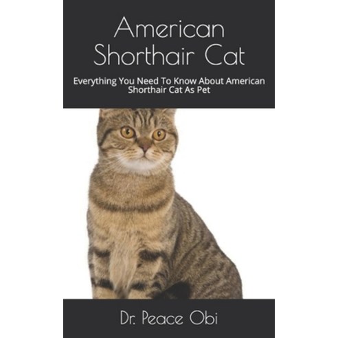 American Shorthair Cat: Everything You Need To Know About American ...