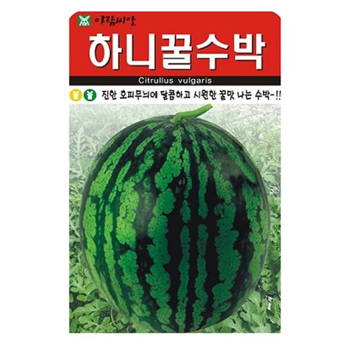 하니꿀수박 씨앗 20립, 1개