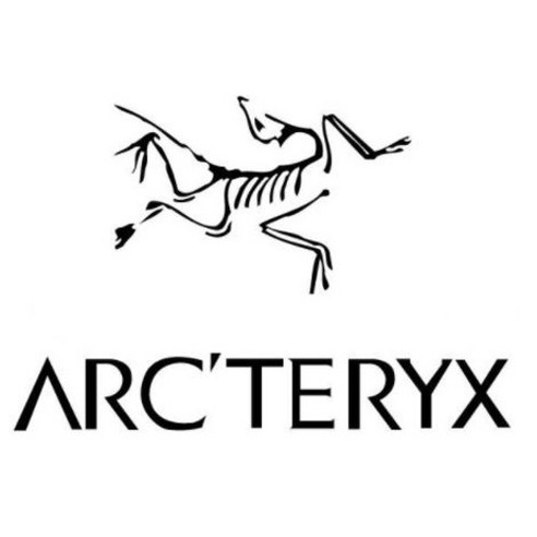 아크테릭스(ARCTERYX) 스티커, 그레이, 가로 30cmx 세로 21cm, 1개