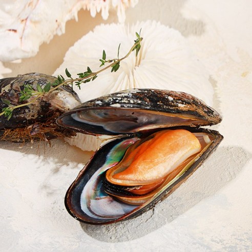 자연산 홍합을 즐겨보세요