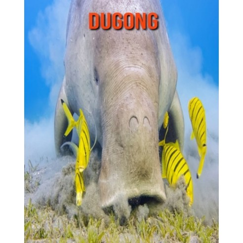 (영문도서) Dugong: Beautiful Pictures & Interesting Facts Children Book About Dugong Paperback, Independently Published, English, 9798514071319