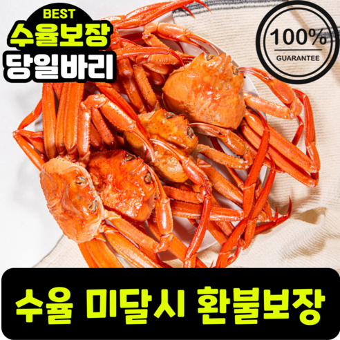 [홍게의명장] 프리미엄 품질보증 가성비 박달 대게 홍게 선주직송 50%할인, 20개, 3kg