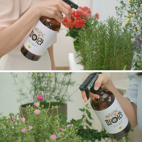 식물닥터 피어라: 건강한 식물 키우기 위한 필수 영양 분