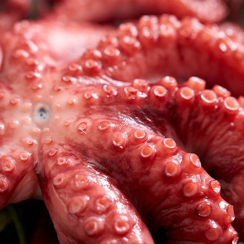 안전하고 신선한 필리핀산 고품질 자숙문어