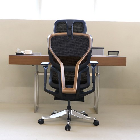 허리 뻐근함, 이제 안녕! 내 몸에 착 붙는 린백 LB255H