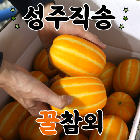 내고향농수산 참외 성주참외 직거래 꿀참외 특등품 3kg 5kg 10kg, 1개