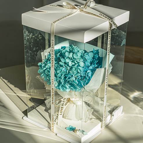 영원히 시들지 않는 꽃의 매력