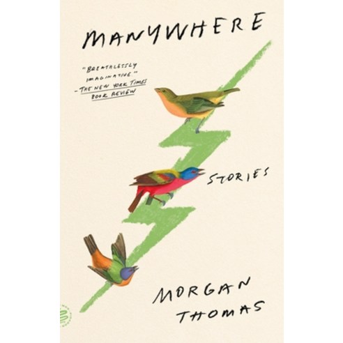 (영문도서) Manywhere: Stories Paperback, Picador USA, English, 9781250863027