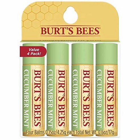 Burt's Bees 모이스처라이징 천연 립밤 2개 오리지널 비즈왁스 비타민 E 페퍼민트 오일, Cucumber Mint, 2 Count (Pack of 1)