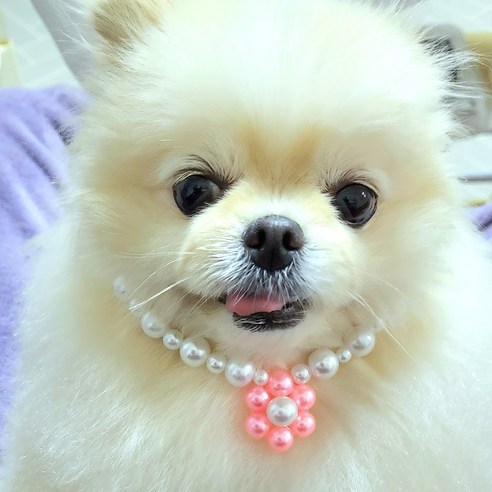 강아지 고양이 진주 꽃 목걸이, 1개, 핑크