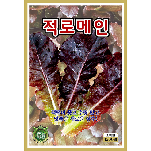 쌈채소 씨앗 모음 종자 상추 치커리 로메인 깻잎 쌈채, 2개