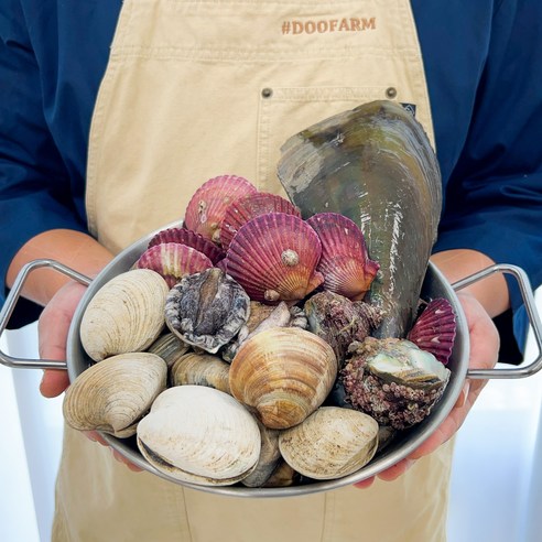 신선함 가득! 두팜 조개구이 세트로 캠핑의 낭만을 간편하게!