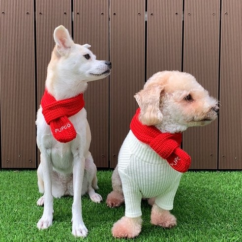 [SaleNOWㅣ인기상품] 강아지 목도리 PUPOO 베이지 레드 [세일나우ㅣ추천상품]