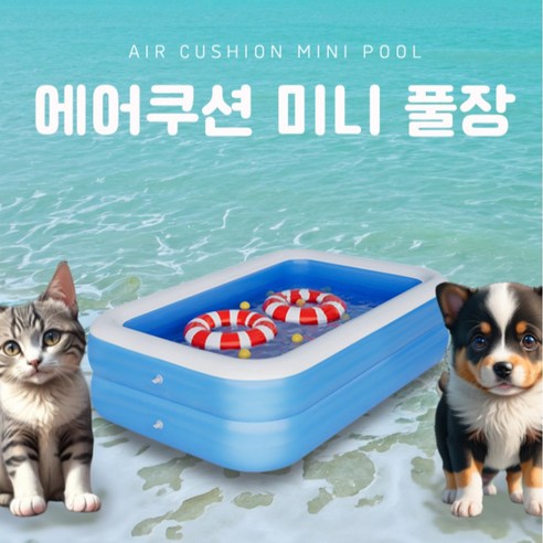 더위를 날리는 반려동물의 시원한 여름 리조트, 리니창고 반려동물 미니 풀장