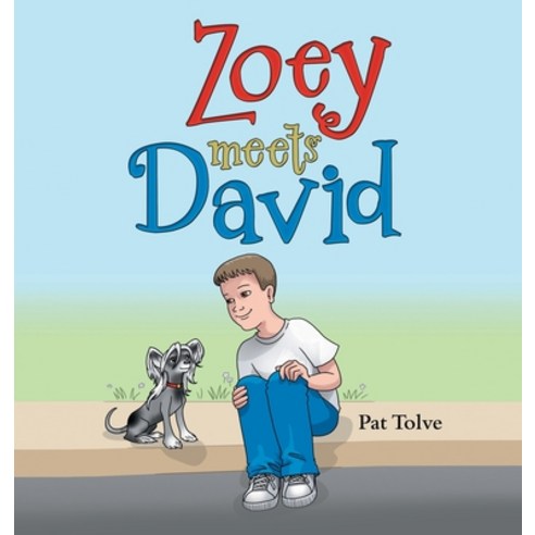 (영문도서) Zoey Meets David Hardcover, Archway Publishing, English, 9781665703598