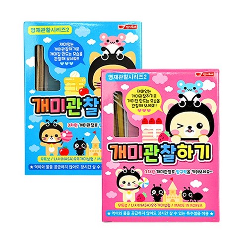 (팬시로비) 7000 개미관찰하기 랜덤 1세트 생태학습 교구