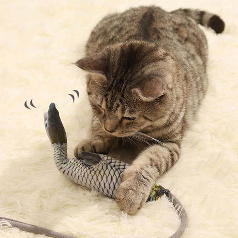 고양이의 마음을 사로잡는 최적의 장난감