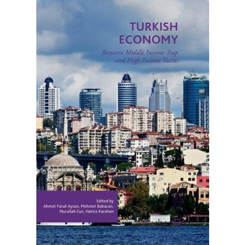 (영문도서) Turkish Economy: Between Middle Income Trap and High Income Status Paperback, Palgrave MacMillan, English, 9783030099534