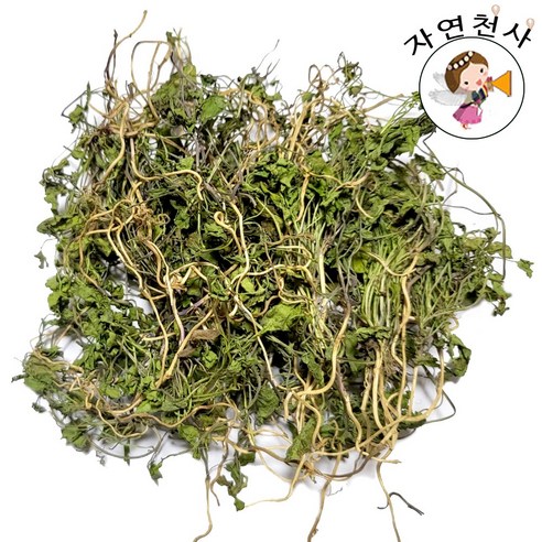 메꽃 야생 메꽃 200g 전초 잎 줄기 뿌리 채취 깨끗한손질 봄채취 뿌리 많은 제품 상세설명