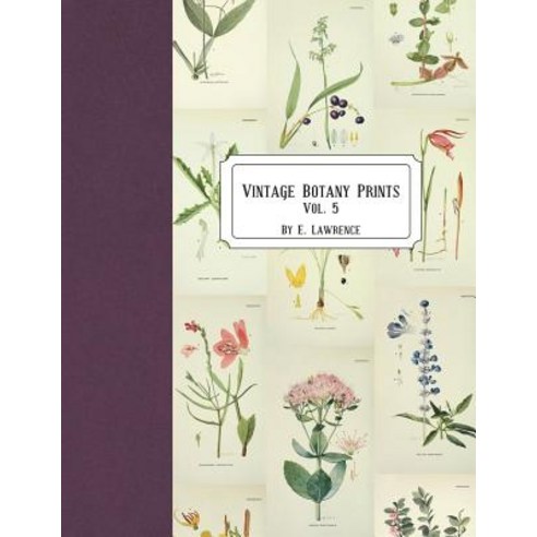 (영문도서) Vintage Botany Prints: Vol. 5 Paperback, Createspace Independent Pub..., English, 9781721894833