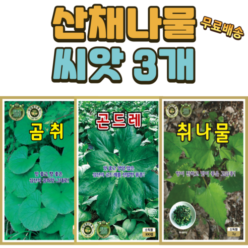 산채나물 3종 곰취 곤드레 취나물 씨앗 나물 쌈채소 씨앗 - 채소씨앗 | 쿠팡